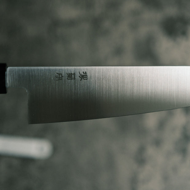 Sakai Kikumori MV series Gyuto 210mm