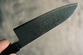 Hatsukokoro Ryuhyo SG2 Damascus Santoku 180mm